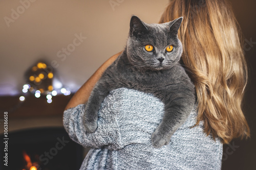 Fototapeta Naklejka Na Ścianę i Meble -  Woman holding british shorhair cat at home
