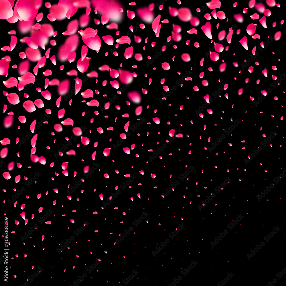 Pink falling petals wind. Sakura or rose flower pastel texture background. Pink falling petals wind. Sakura or rose flower pastel texture background.