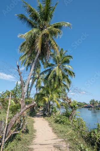 Don Det rural view, 4000 Islands, Lao PDR photo