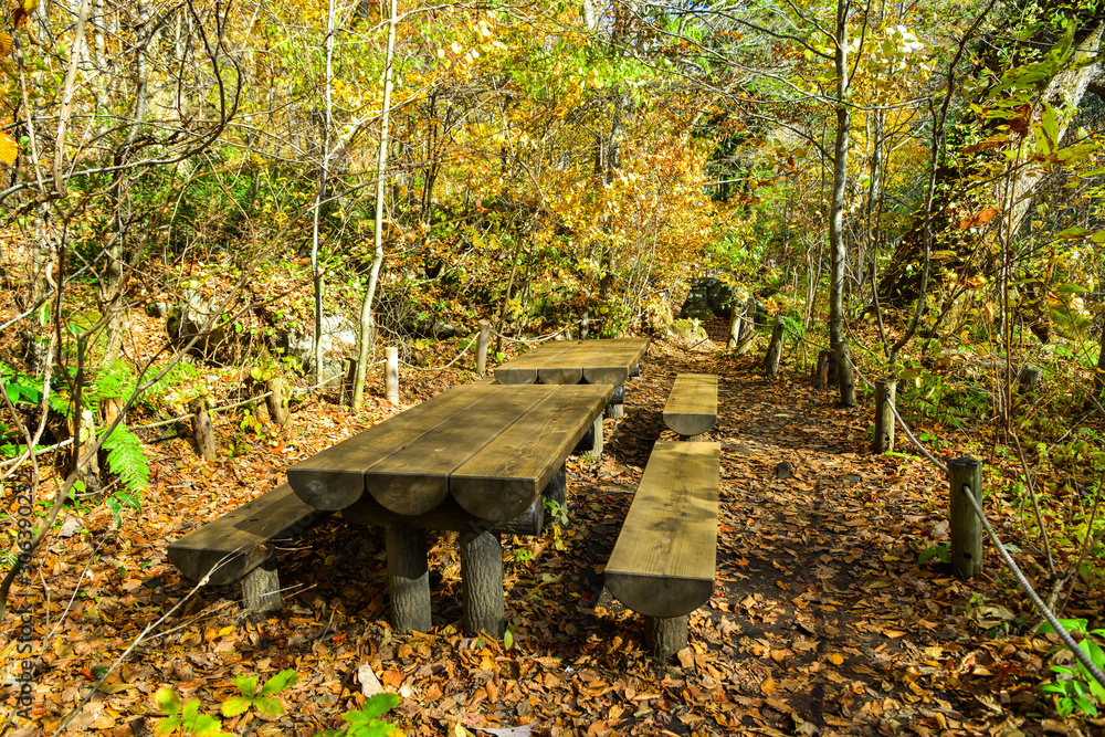 Autumn scenery of Oirase Gorge, Japan Autumn scenery of Oirase Gorge, Japan