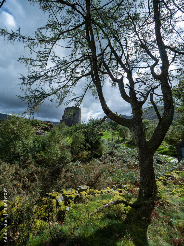 Fototapeta premium Old ruined castle tower in beautiful landscape in Wales