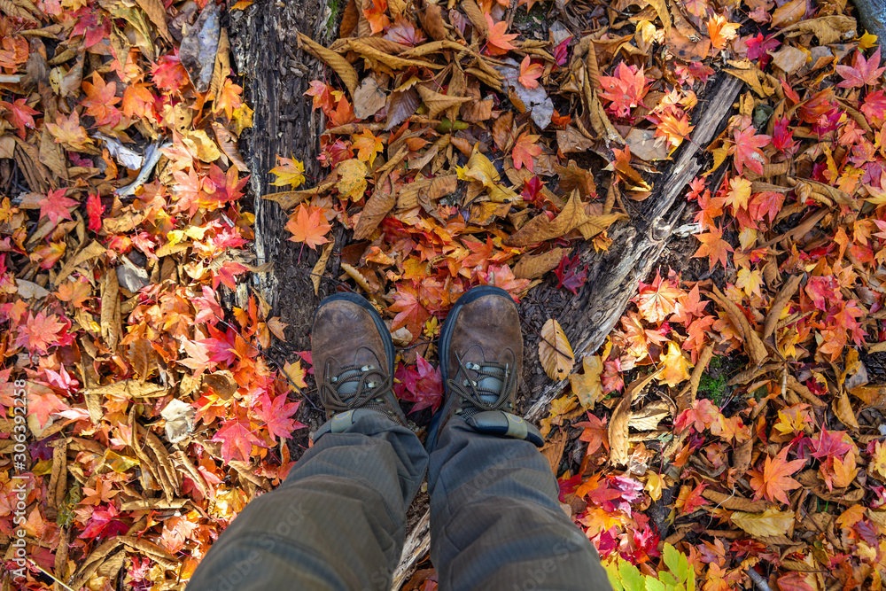 Asian man enjoying autumn forest Asian man enjoying autumn forest