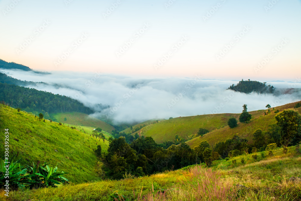 Morning mist on the mountain,landscape Morning mist on the mountain,landscape