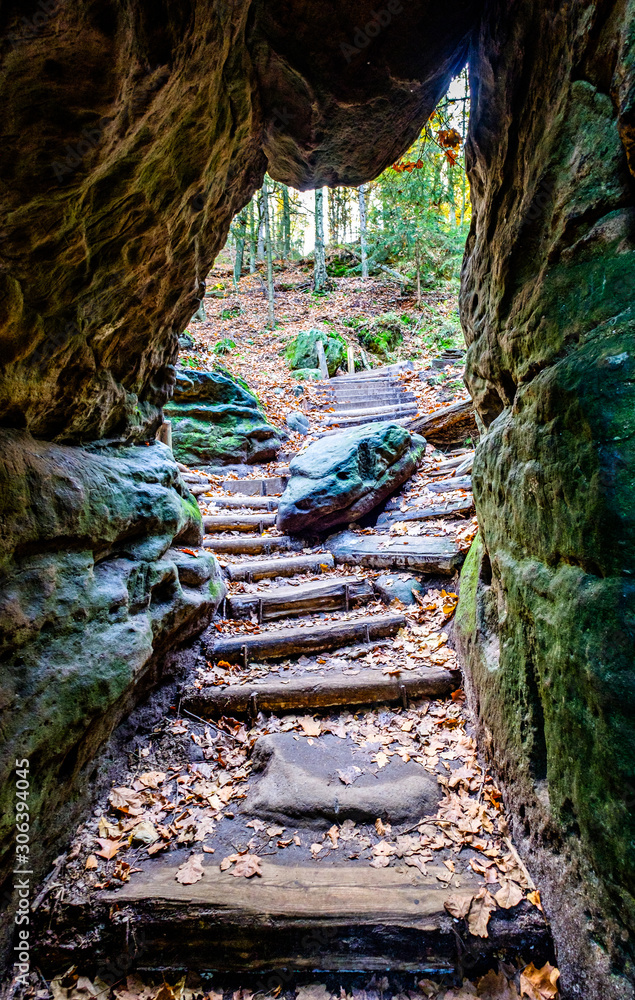 Obraz premium old steps at a forest