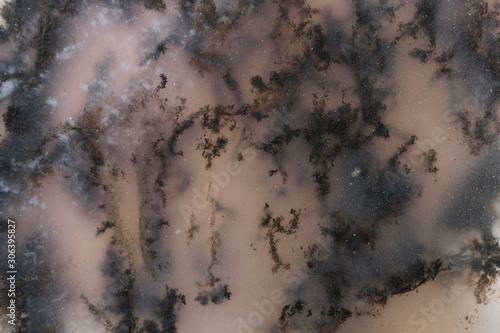 Macro of a Moss Agate slab. © Michael