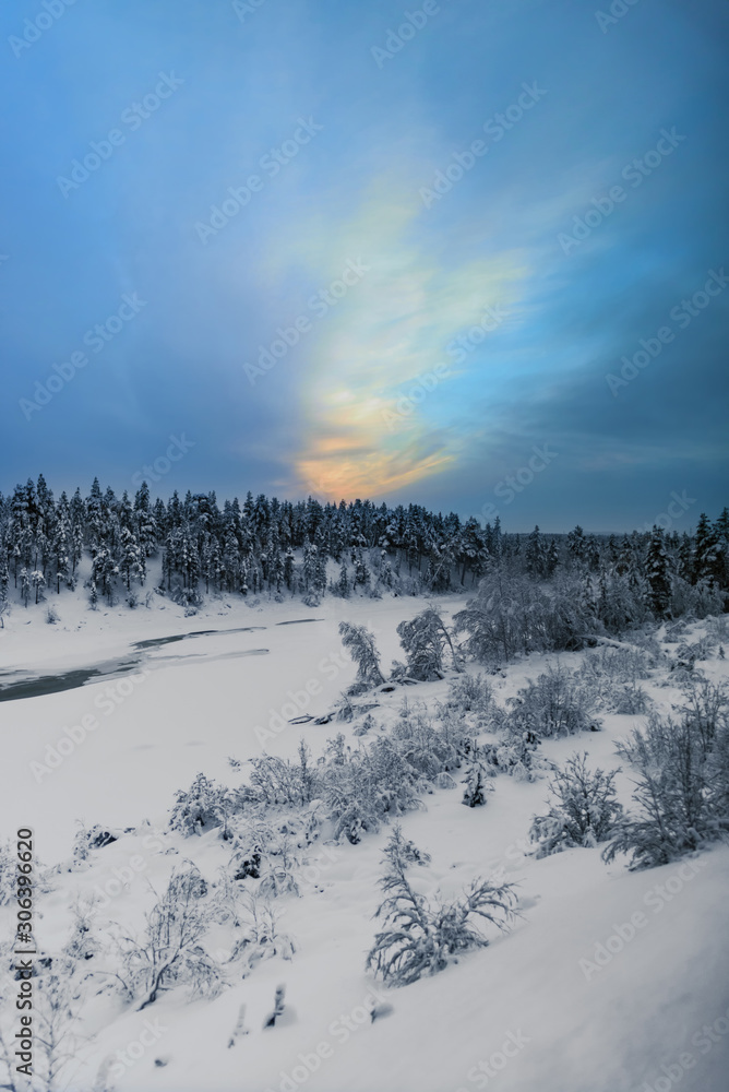Snow covered trees on a hill overlooking a small valley under a beautiful sky