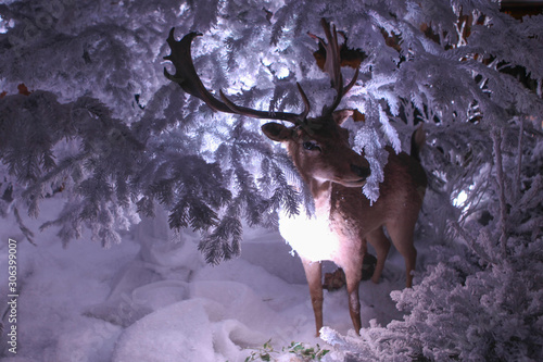 Noel a Vaux le Vicomte 