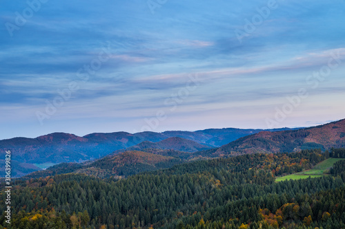 Germany  Breathtaking endless aerial view over colorful tree tops of fir  conifer and autumn foliage trees in black forest nature landscape like paradise at sunset