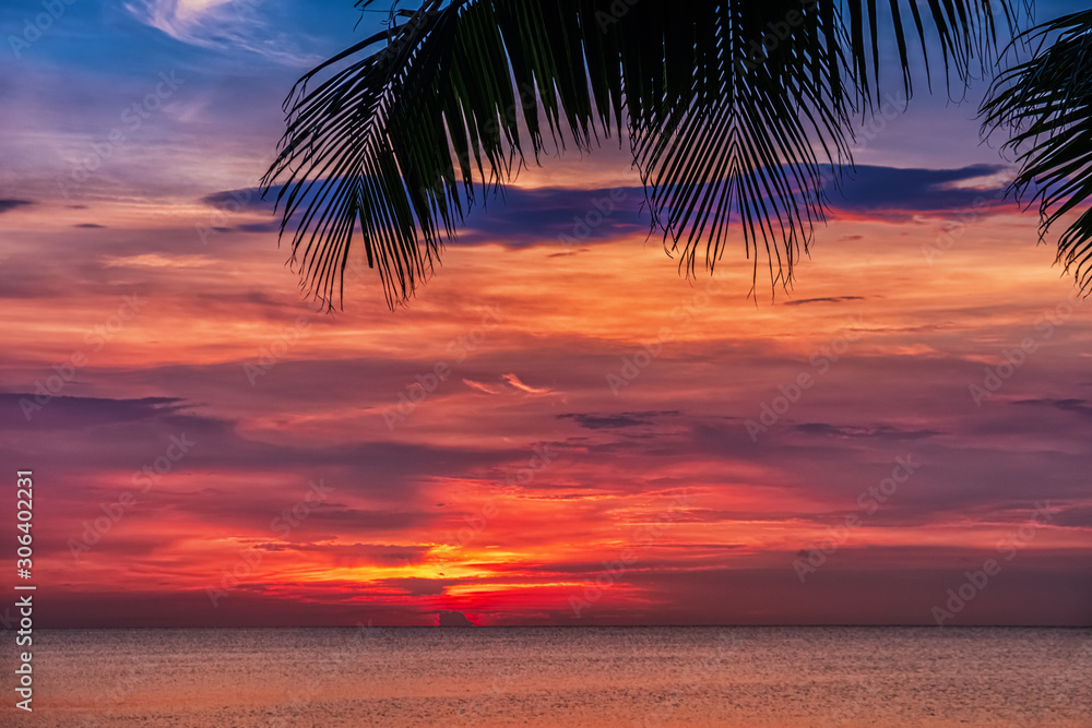 Sunset and palms