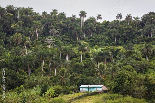 Vignales Cuba photo