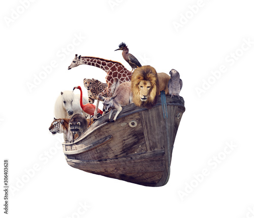 Photography Old boat with wild animals and birds on white background