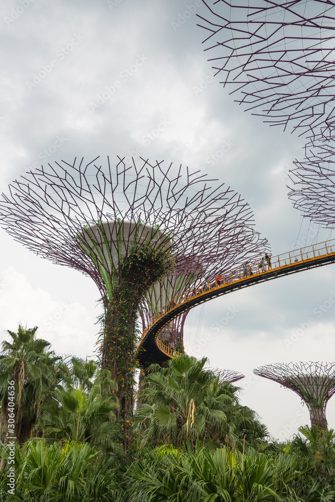 Fototapeta premium Singapore