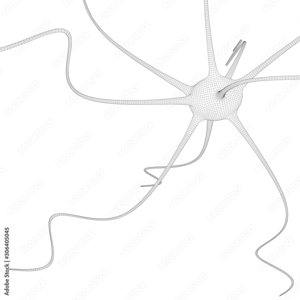 Neuron system wireframe mesh model. Low poly vector illustration. Science and medical healthcare concept