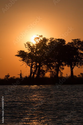 Sunset at chobe riverfront, Botswana, Africa