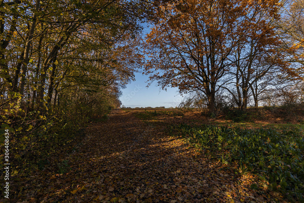 Fototapeta premium Krefeld- View to Hiking path nearby Egelsberg / Germany