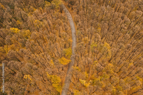 Aerial view of autumn fores...