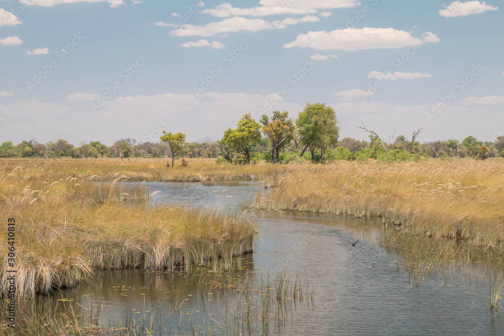 Channels in the Okavango Delta, Moremi game reserve, Botswana, Africa Channels in the Okavango Delta, Moremi game reserve, Botswana, Africa