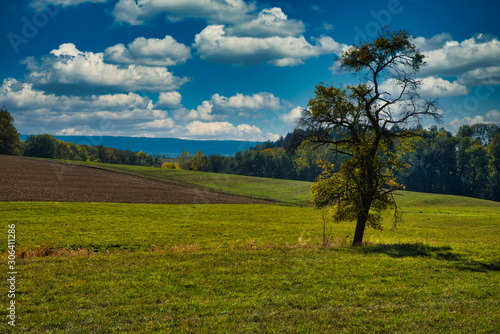 Sommerlandschaft mit Feldern Wiesen und Wald