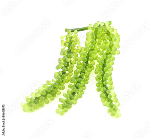 Sea grapes ( green caviar ) seaweed  isolated on white backgroun photo