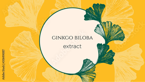 Stock vector illustration with hand drawn  japanese ginkgo biloba leaves. Concept for medical or cosmetics banner with yellow background. Organic and natural leaves around the centre and circle copy s