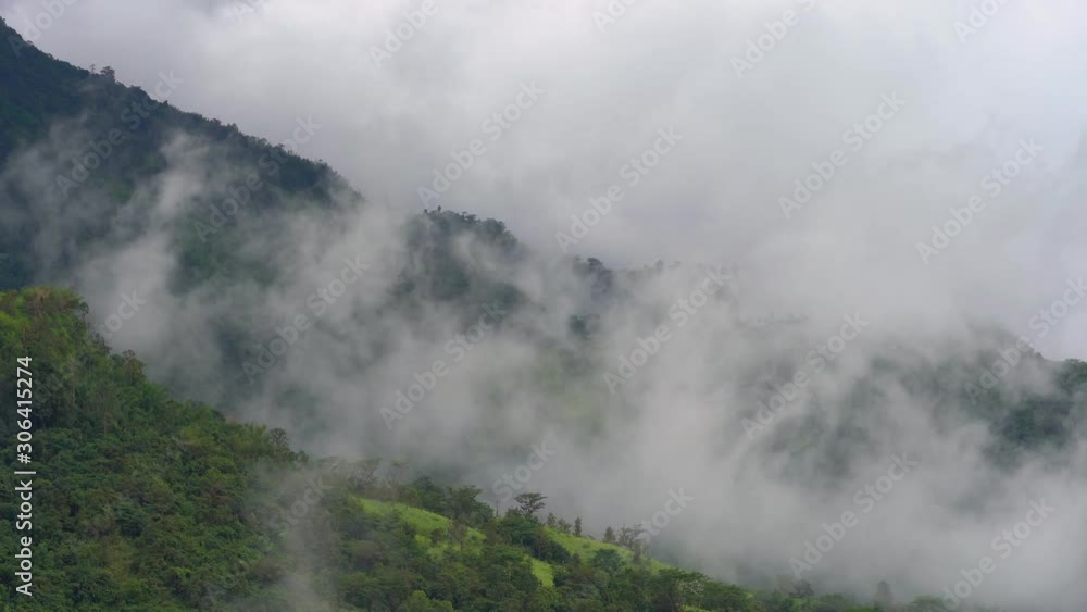 Fog in the valley Fog in the valley