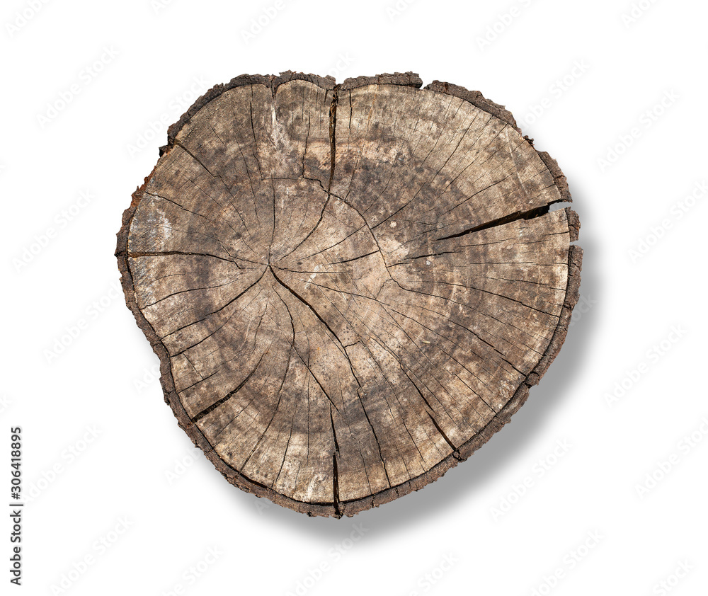 Old Wooden stump isolated