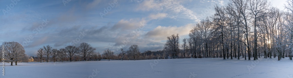 background, beautiful, beauty, blue, cloud, clouds, country, countryside, day, ekerö, environment, fall, field, foliage, forest, garden, grass, green, heron, hill, horizon, lake, landscape, lawn, leaf background, beautiful, beauty, blue, cloud, clouds, country, countryside, day, ekerö, environment, fall, field, foliage, forest, garden, grass, green, heron, hill, horizon, lake, landscape, lawn, leaf