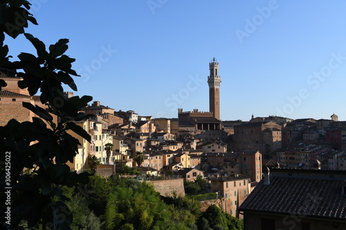 Siena 