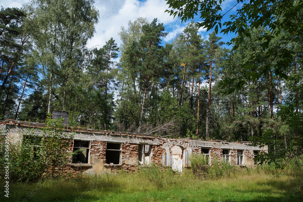 Obraz premium The ruins of an old brick building in the woods. This barracks for soldiers was abandoned by the army after the Soviet Union finished. Russia, sunny summer day