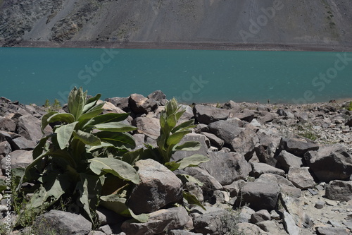 El Yeso