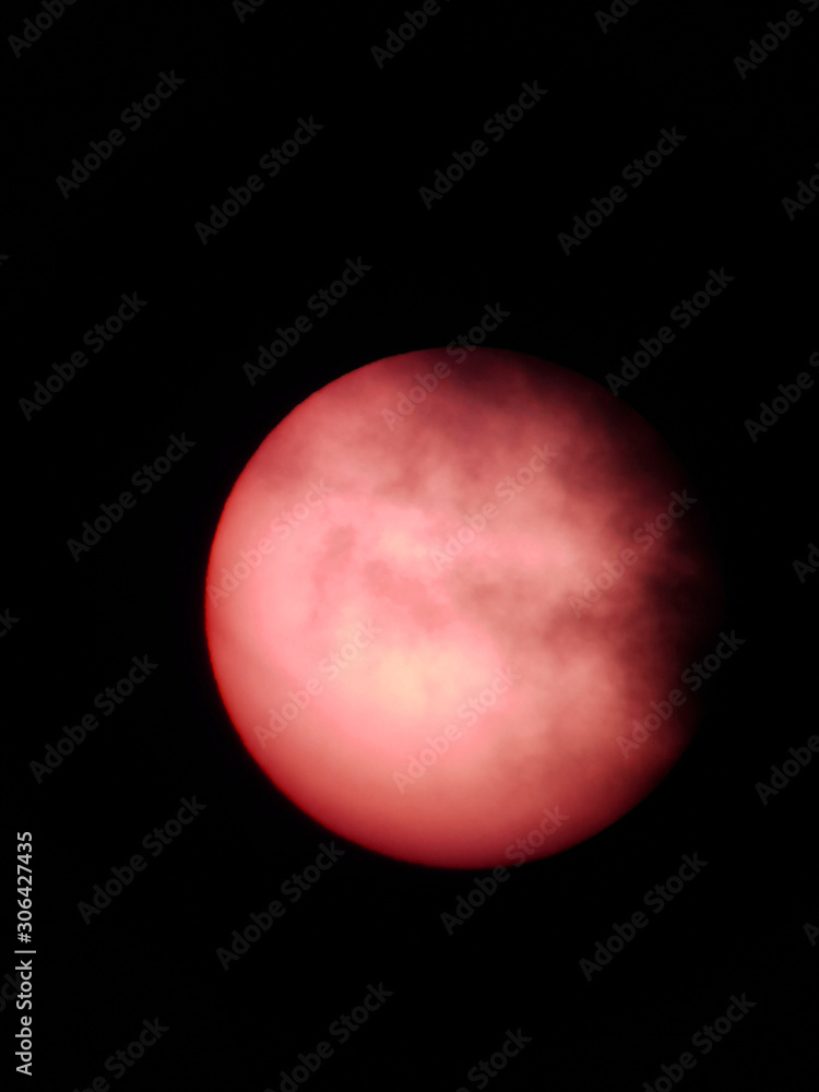 Fototapeta premium Sole