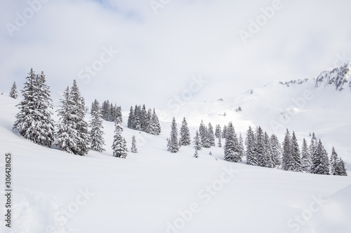 Pine trees and mountains covered with a lot of snow in Kleinwalsertal in Austria  © Angeline