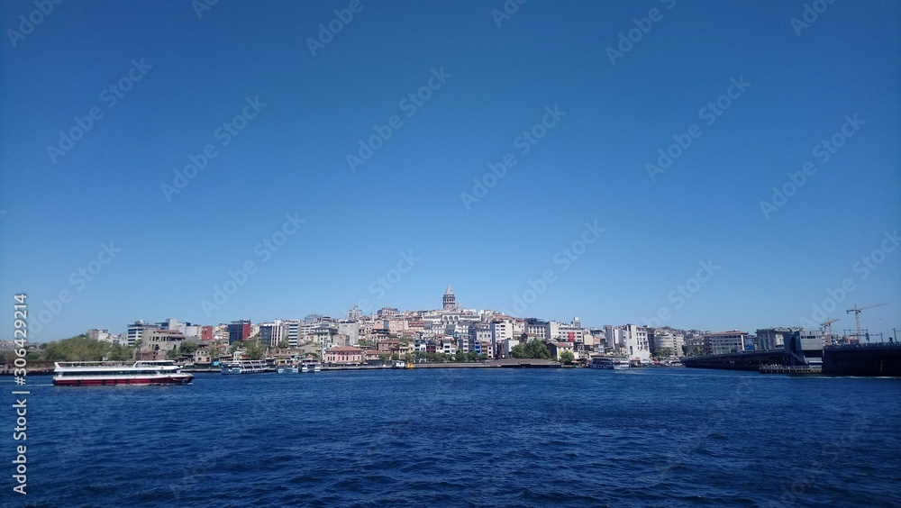 Bosphorus, Galata Tower, Ferry and Seagull