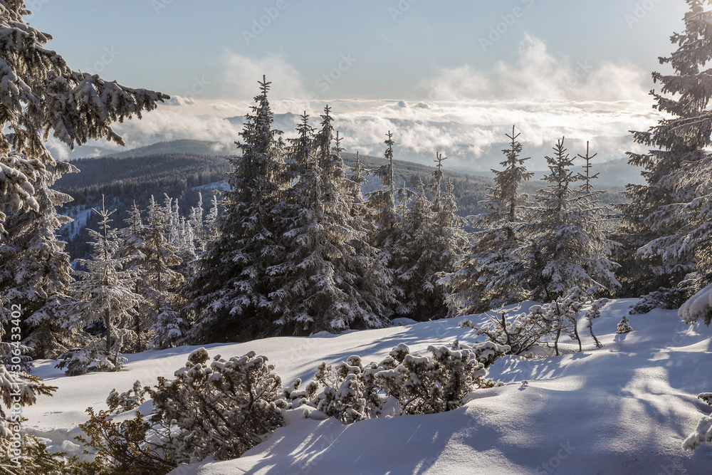 Landscape scene in the mountain forest. Misty winter landscape in the snowy wood. Landscape scene in the mountain forest. Misty winter landscape in the snowy wood.