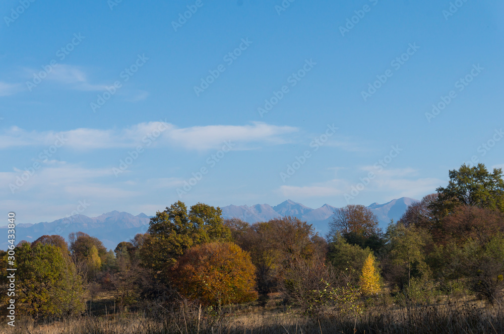 Golden fields in Carpathian Mountains. Mountains and barley cut fields in the horizon, golden hour photo-shoot. Golden fall panorama Golden fields in Carpathian Mountains. Mountains and barley cut fields in the horizon, golden hour photo-shoot. Golden fall panorama