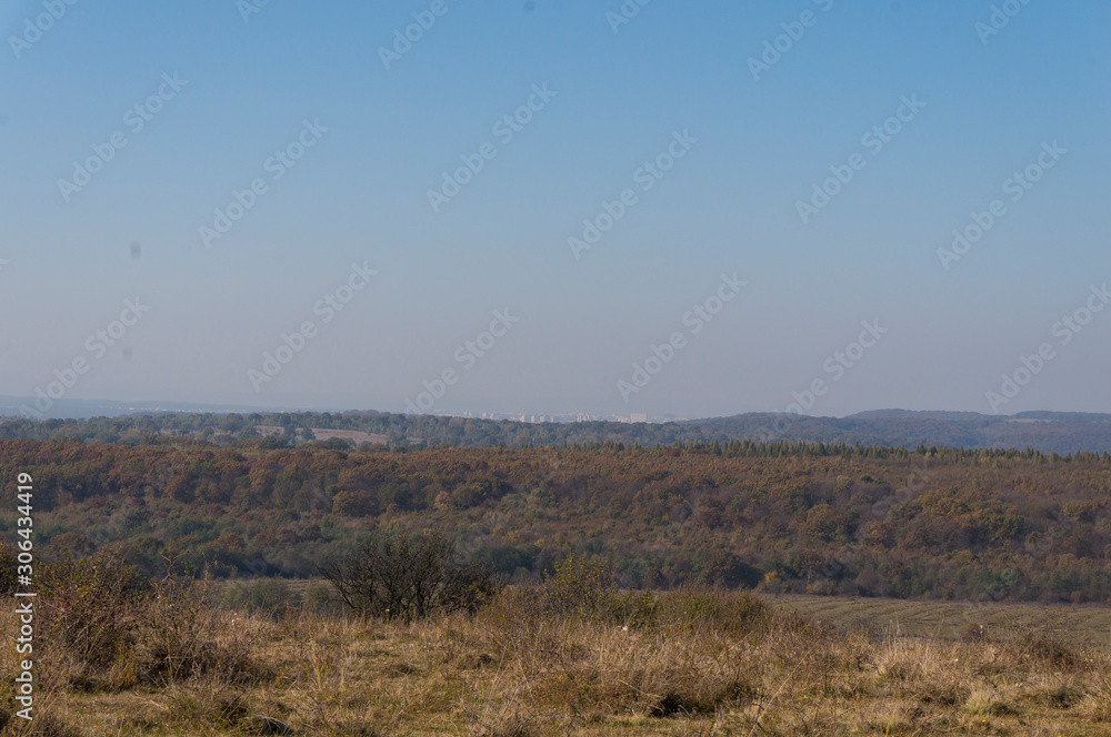 Colourful trees in the forest and mountains, autumn landscape Colourful trees in the forest and mountains, autumn landscape