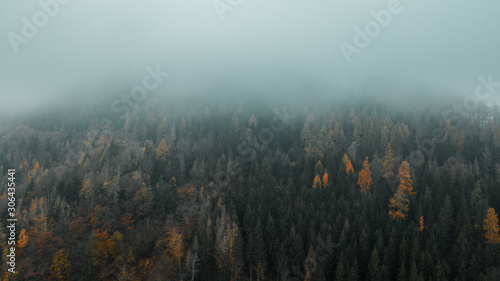 Moody dark and cold winter vibes with heavy fog in the nature mountains with autumn trees silhouettes.