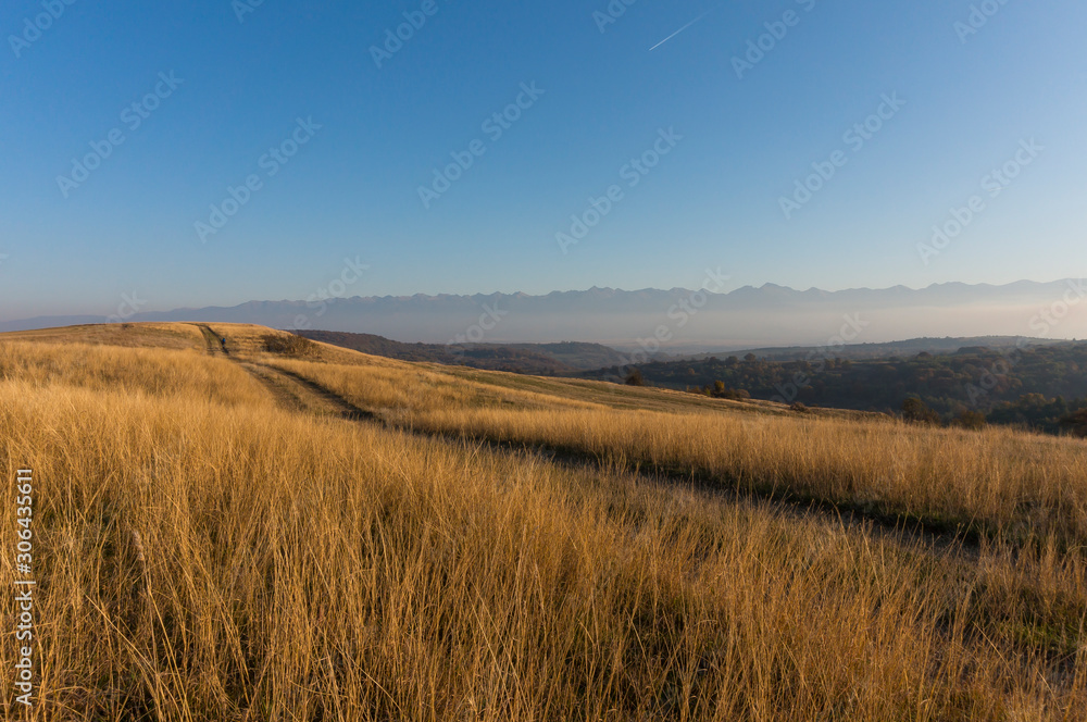 Golden fields in Carpathian Mountains. Mountains and barley cut fields in the horizon, golden hour photo-shoot. Golden fall panorama