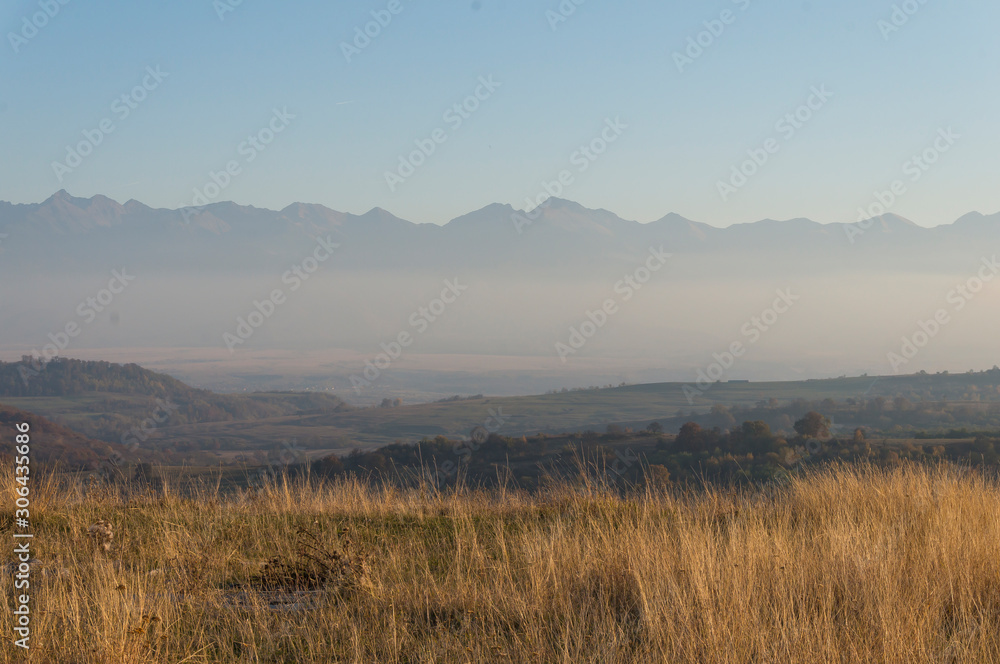 Fototapeta premium Golden fields in Carpathian Mountains. Mountains and barley cut fields in the horizon, golden hour photo-shoot. Golden fall panorama