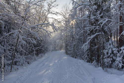 the road passes through a snow-covered forest