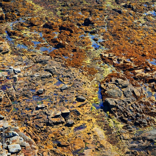 rock texture at the ocean coast photo