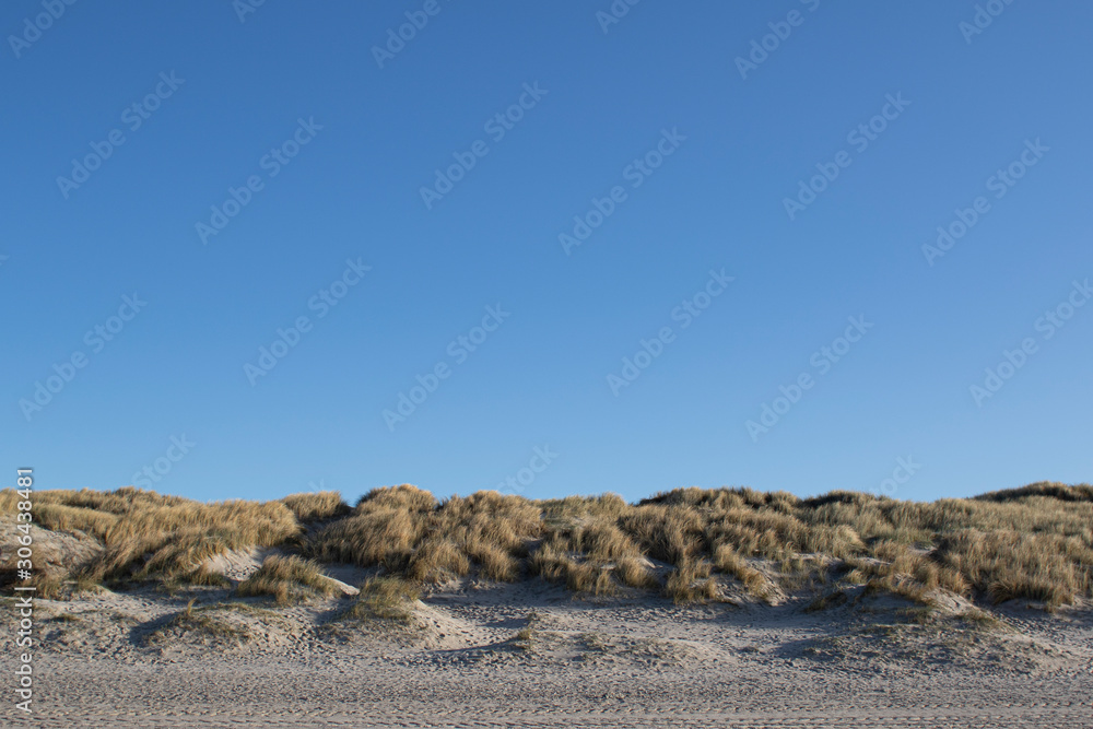 Sand dunes with sand ryegrass on the Danish west-coast Henne Beach