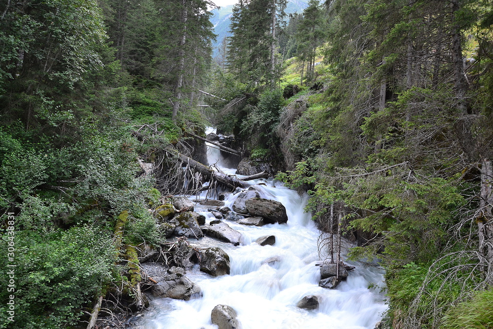Alpine river in the dense forest of Austria Alpine river in the dense forest of Austria