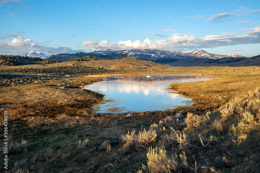 Fototapeta premium Yellowstone National Park
