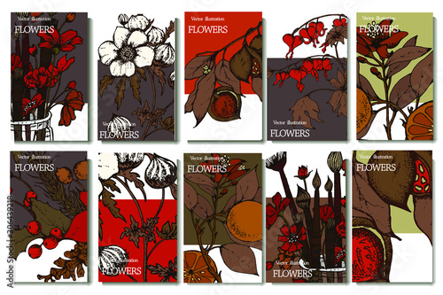 Herbal illustration on label packaging design. Hand drawn vector botanic set with branch, flowers.