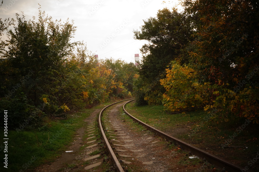 railway in the forest