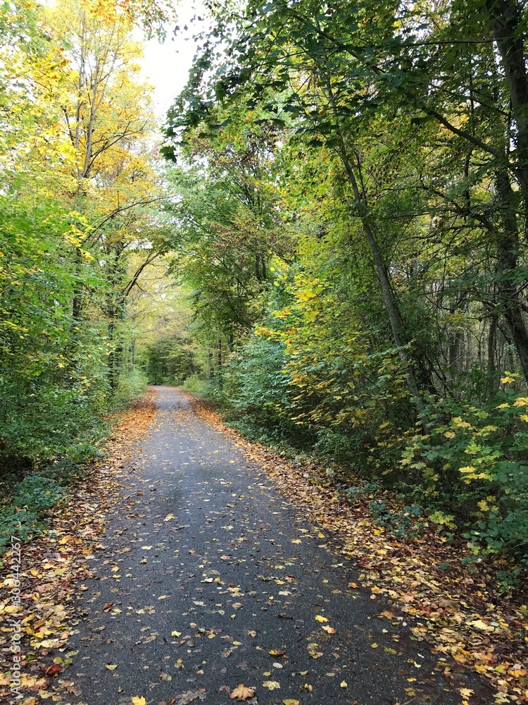 Herbst01 Herbst01