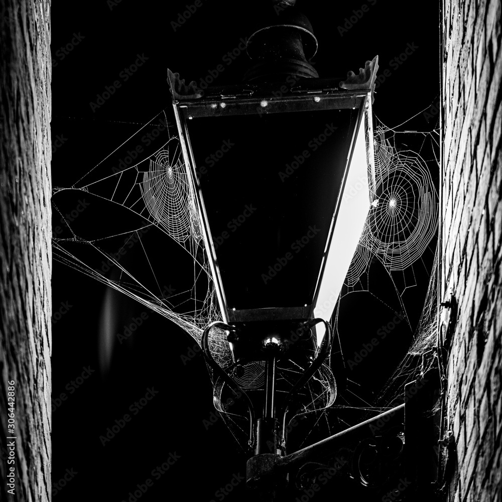 Fototapeta spider making the web on lantern