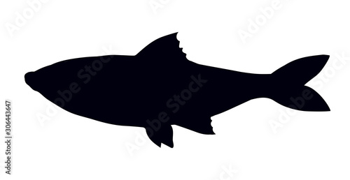 Big sea fish. Vector drawing