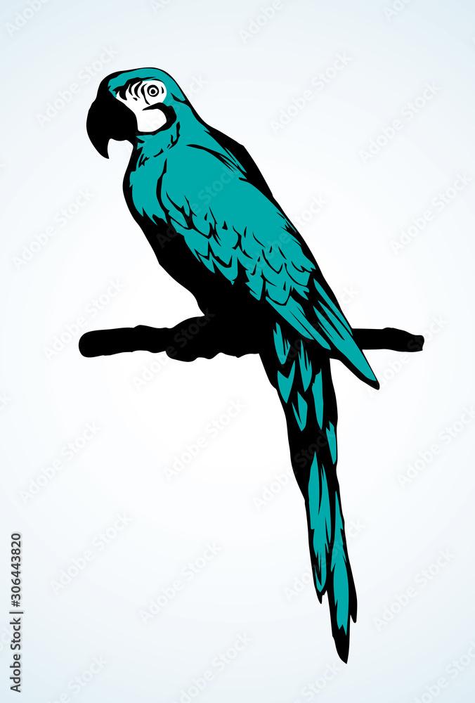 Fototapeta premium Parrot bird icon. Vector drawing